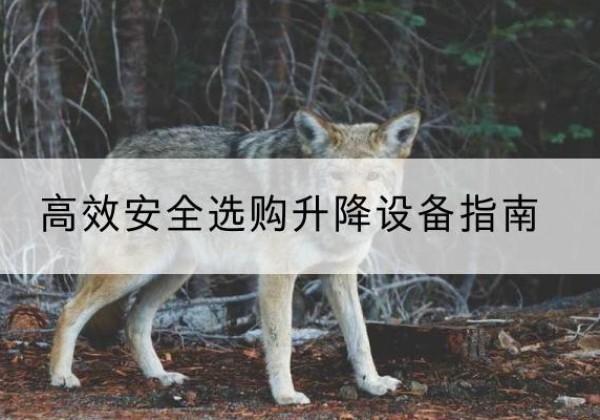 北镇升降货梯厂家推荐-*安全选购升降设备指南