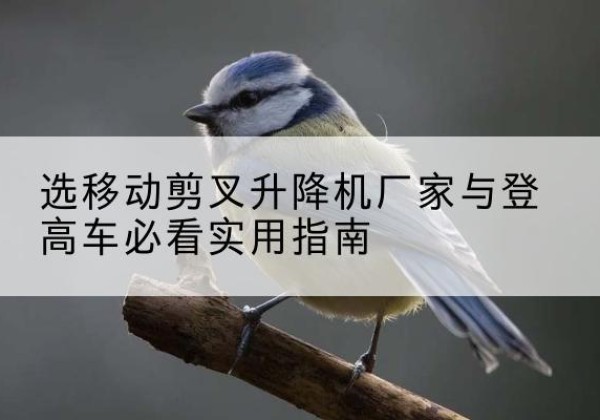 北镇电动升降机厂家-选移动剪叉升降机厂家与登高车必看实用指南